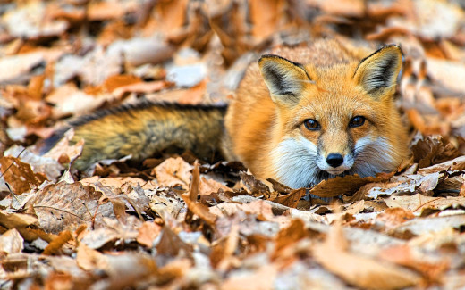 1757010 (a): :1920x1200